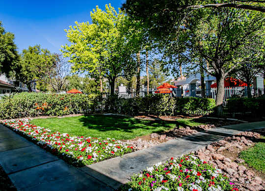 Garden Area at Octave Apartments, Nevada
