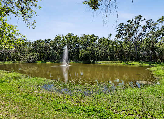 A fountain in the middle of a grassy field.