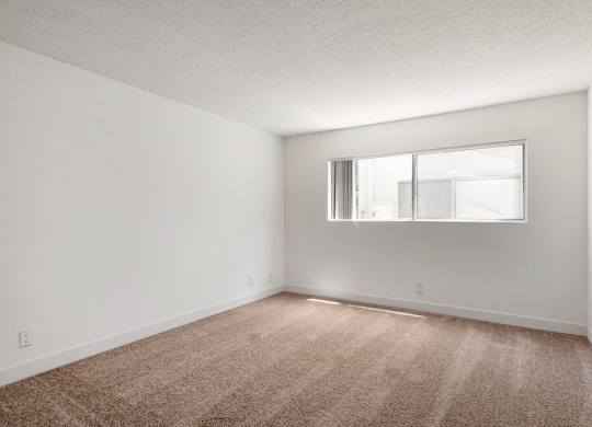 A room with a carpeted floor and a window.