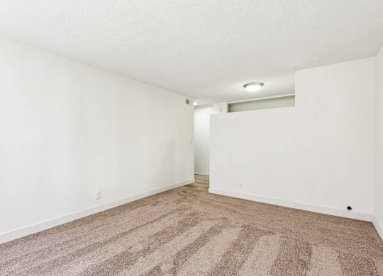 A room with a carpeted floor and a doorway leading to another room.