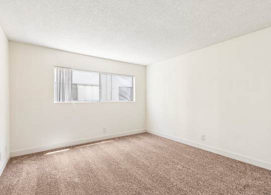 A room with a carpeted floor and a window.