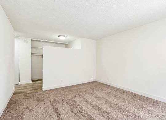 A room with a carpeted floor and white walls.