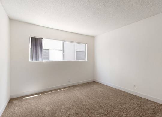A room with a window and carpeted floor.