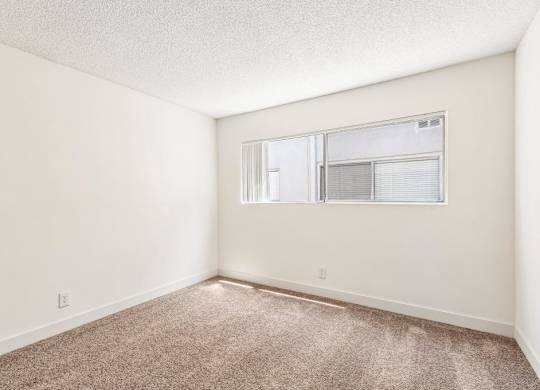 A room with a carpeted floor and a window.