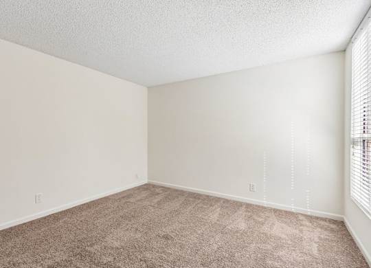 A room with a carpeted floor and a window with blinds.