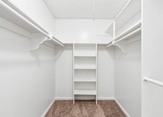 A white closet with a carpeted floor and a ladder.