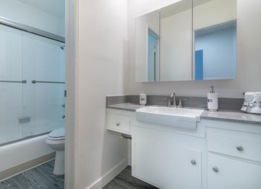 Bathroom view with tub shower and vanity