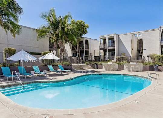 A swimming pool with lounge chairs and umbrellas in front of a building.