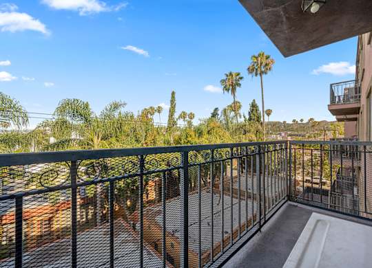 A balcony with a black railing overlooks a residential area with palm trees.