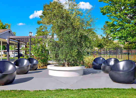 a seating area with metal benches and a tree at Monterra Ridge Apartments, Canyon Country