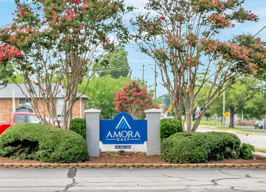 A sign for Amora in front of a street.
