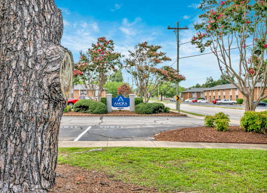 A tree trunk is in the foreground of a sunny day with a sign that says