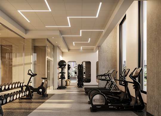 A gym with treadmills, elliptical machines, and dumbbells.