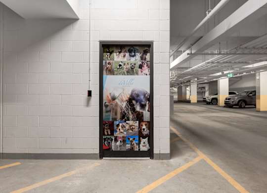 A wall of pictures of dogs in a parking garage.