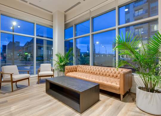 A modern living room with a brown leather sofa, a wooden coffee table, and a potted plant.