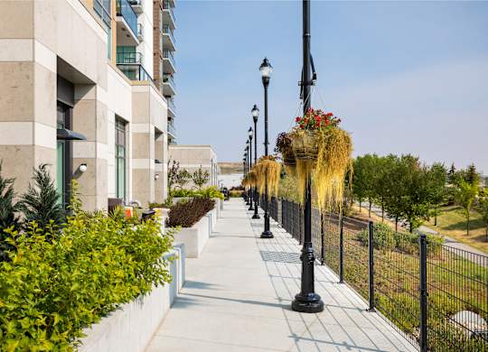 A long walkway with a black fence and a lamp post with hanging plants.