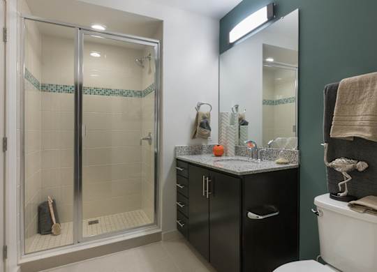 Bathrooms in all apartment homes are modern and feature designer touches.