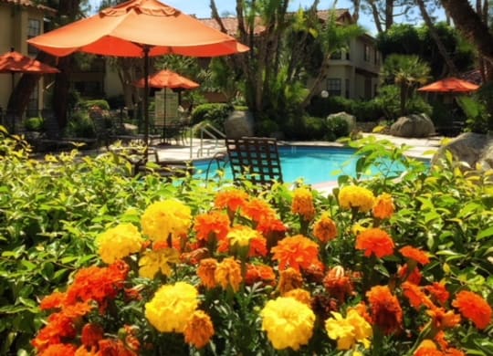 the pool is surrounded by flowers and umbrellas and palm trees