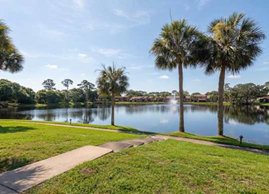 A serene park with a lake, palm trees, and a clear sky.