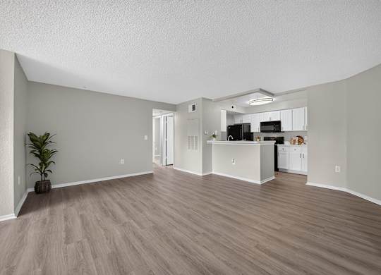 A room with a kitchen area and a plant.