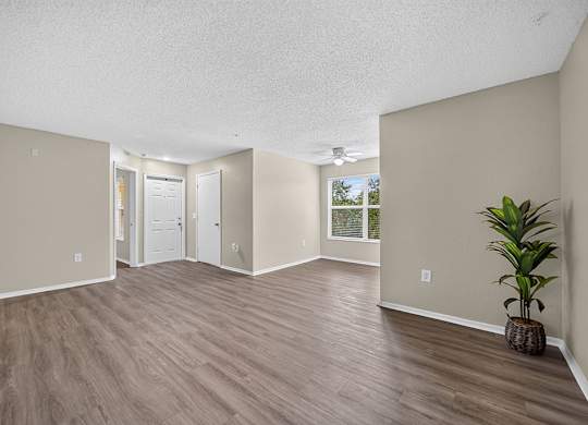 A room with a plant on the right side.