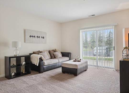 Living Room with Plush Carpeting