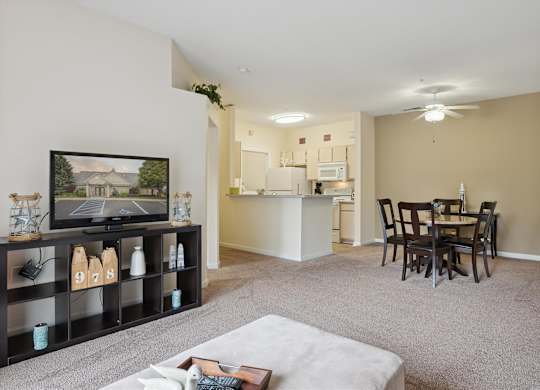 Living Room with Plush Carpeting