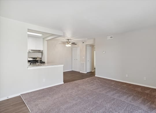 Spacious Living Area with Carpet