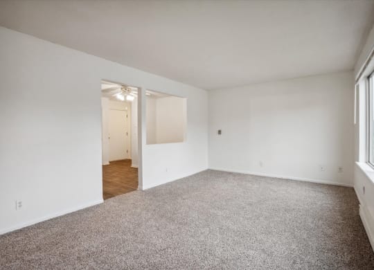 Living Room with Plush Carpeting