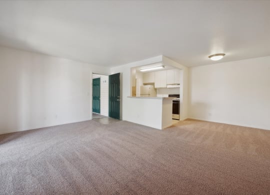 Spacious Living Area with Carpet