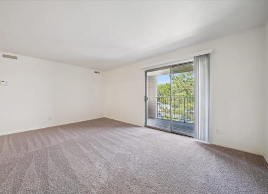 Living Area with Carpet
