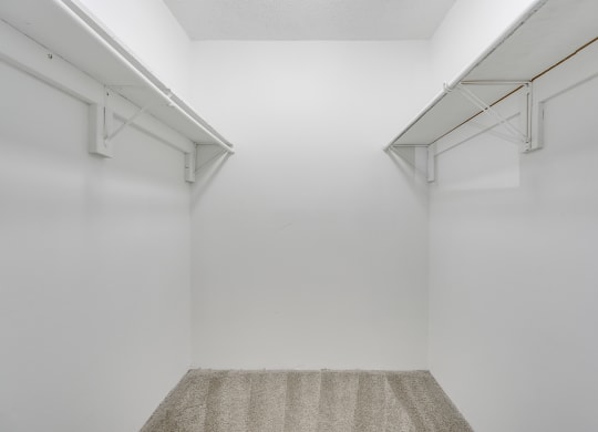 Carpeted Walk-In Closet