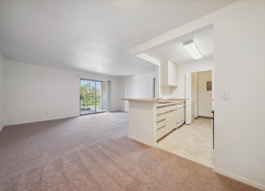 Spacious Living Area with Carpet