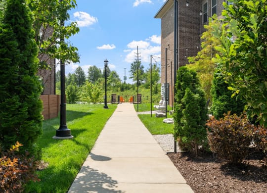 Walkway between Synergy Apartment Homes