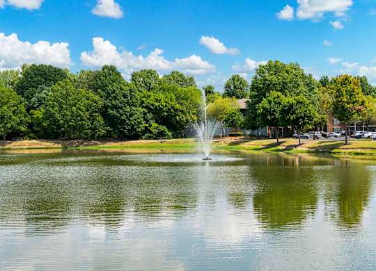 Community Pond