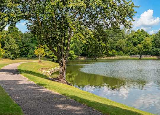 Community Pond