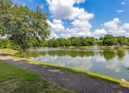 Community Pond