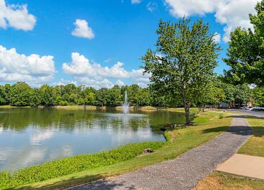 Community Pond