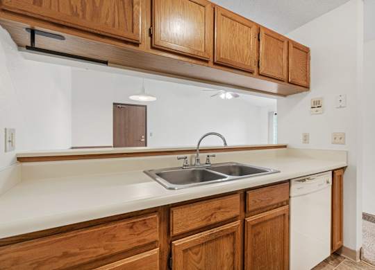 Kitchen with Wood Cabinets