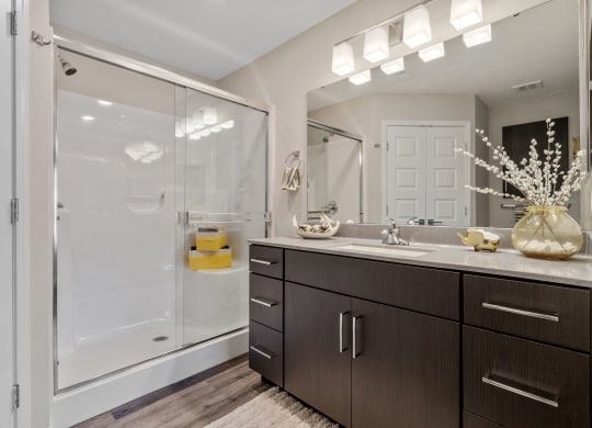 Bathroom with Modern Finishes