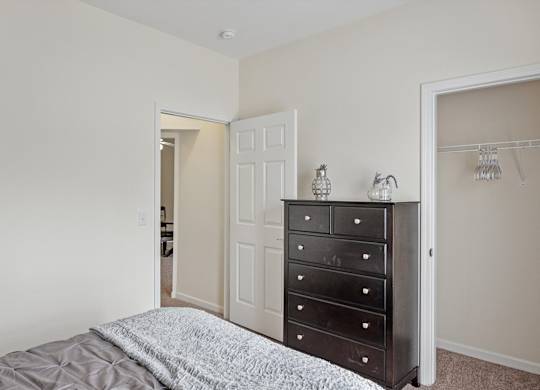 Bedroom with Large Closet