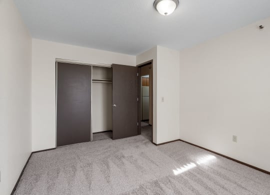 Bedroom with Plush Carpeting