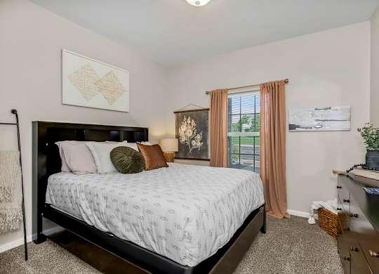 Bedroom with Plush Carpeting