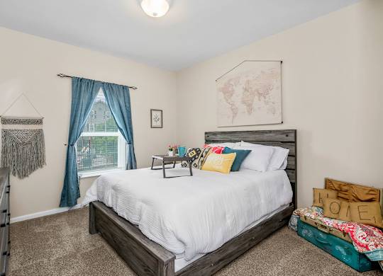 Bedroom with Plush Carpeting