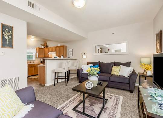 Living Room with Plush Carpeting