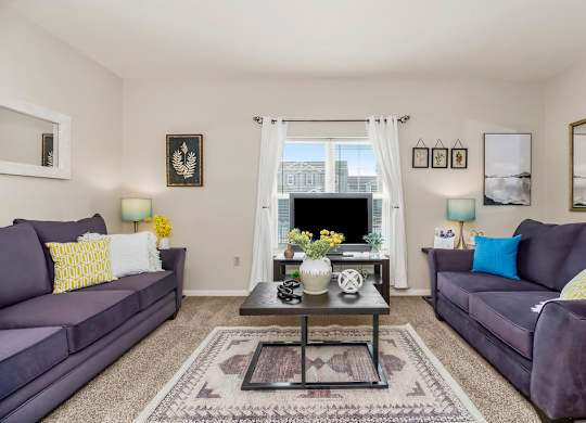 Living Room with Abundant Natural Lighting