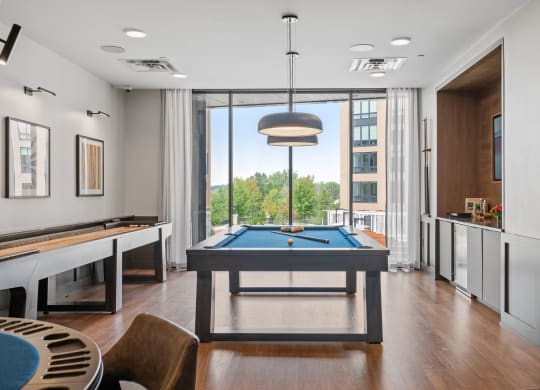 Game Room with Pool Table