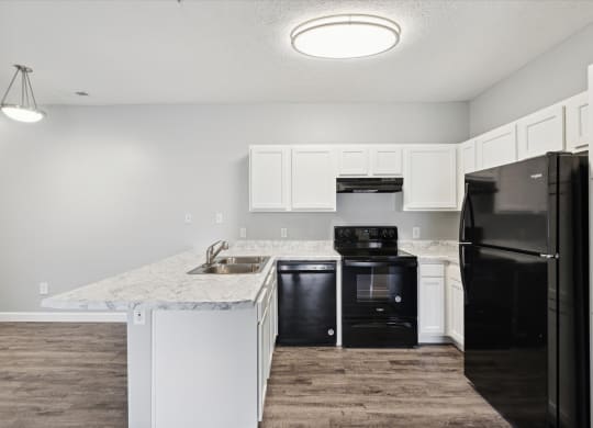 Fully-Equipped Kitchen with Black Appliances
