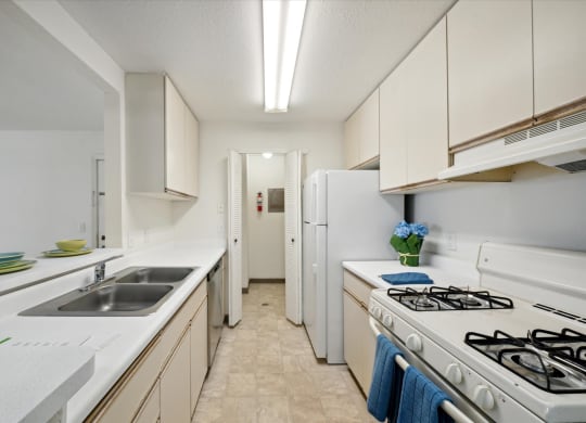 Kitchen with White Appliances