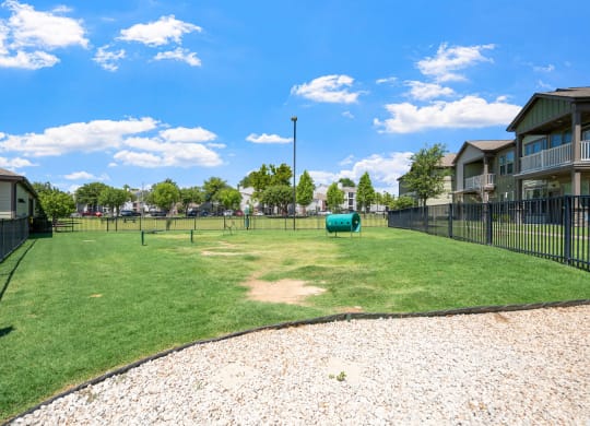 Dog Park